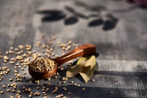 Cooling ayurvedic remedy coriander seeds
