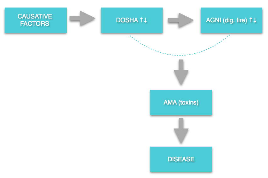 ayurveda ama dosha, ayurveda Athens,